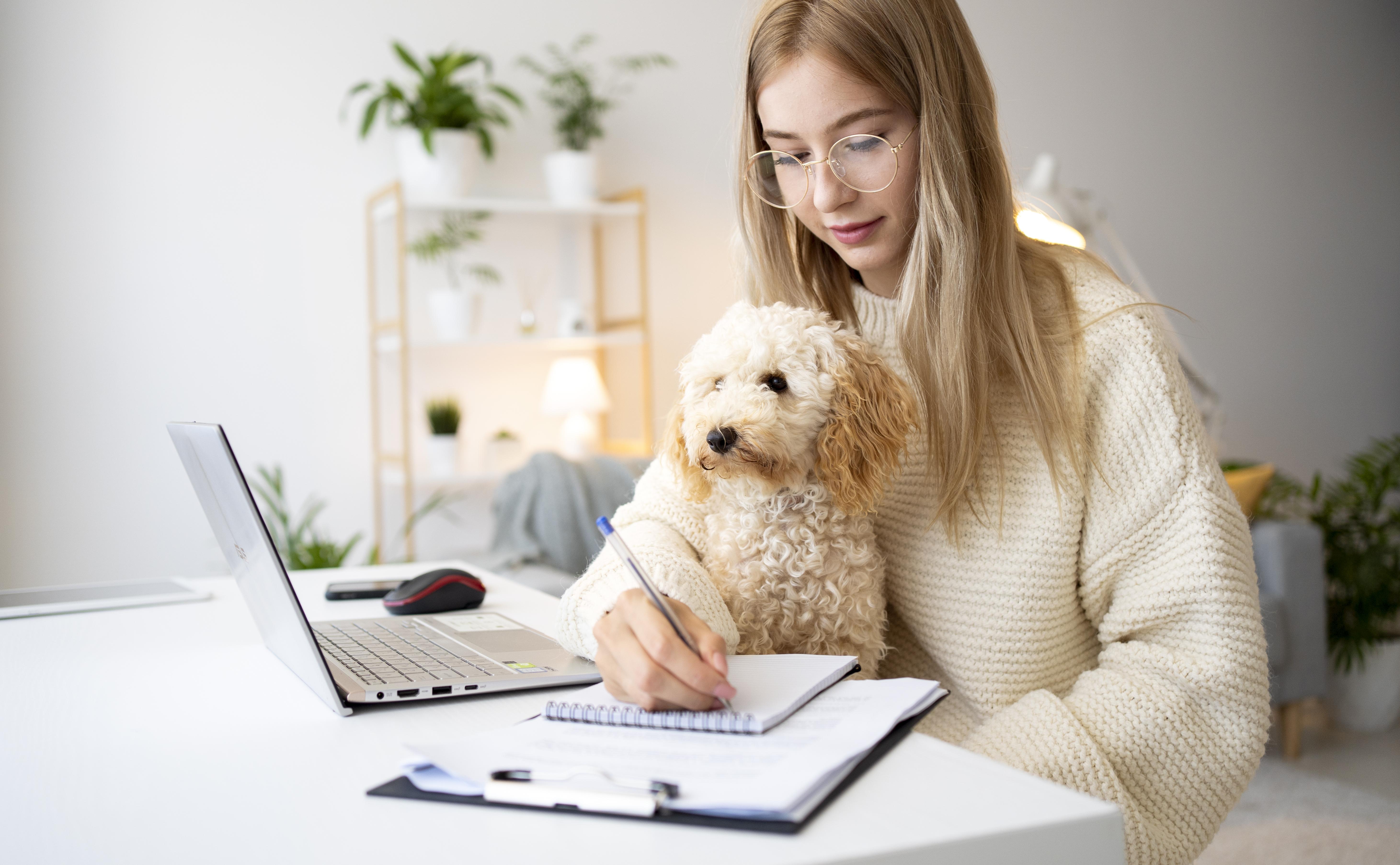 Erwachsener, Weiblich, Person, Frau, Laptop