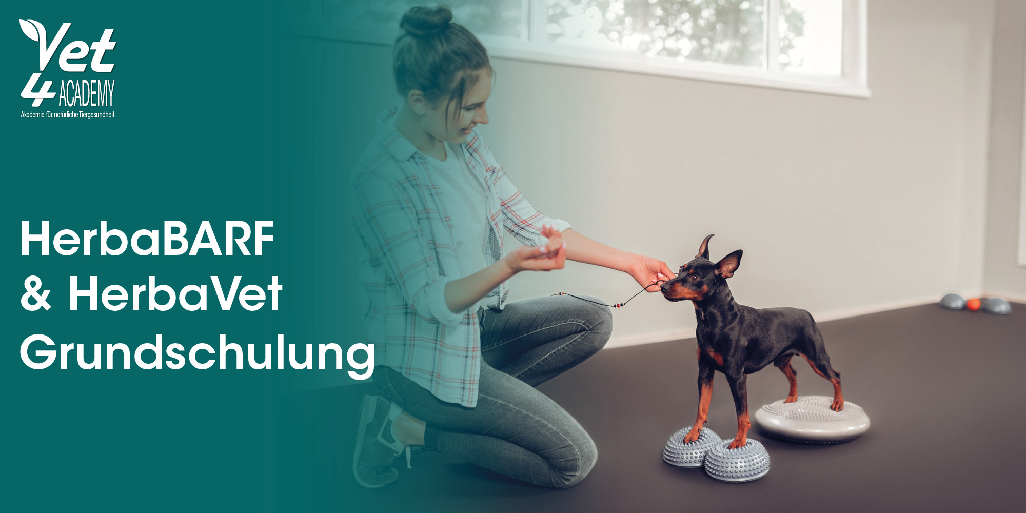 Hunde, Training, Hundetraining, Tiertraining, Therapie, Hund, Trainingsgerät, Hundetraining, Matte, Spielzeug