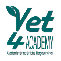 Zur Startseite gehen