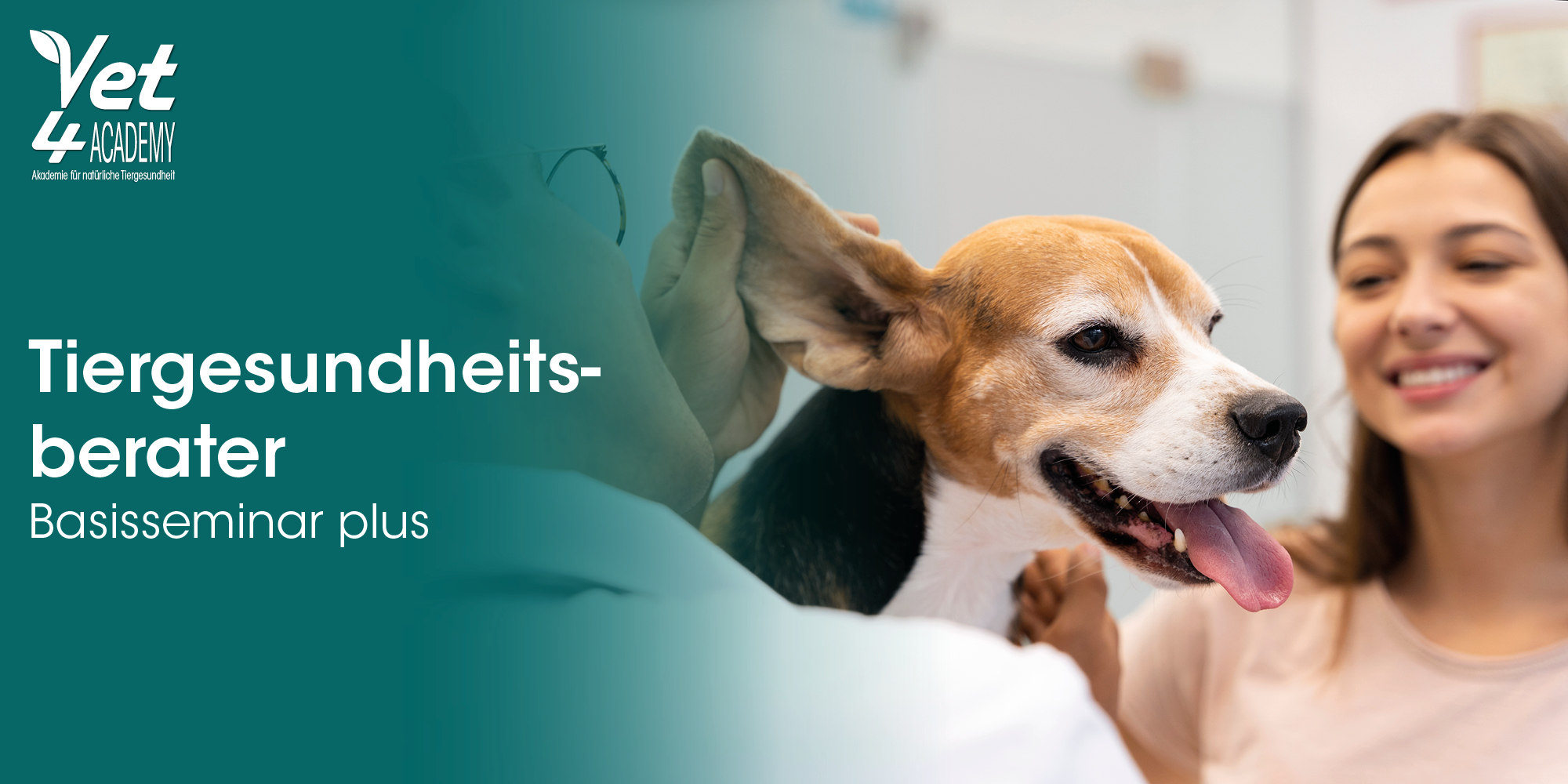 Tiergesundheitsberater, Tierarztpraxis, Hunde, Basisseminar, Behandlung